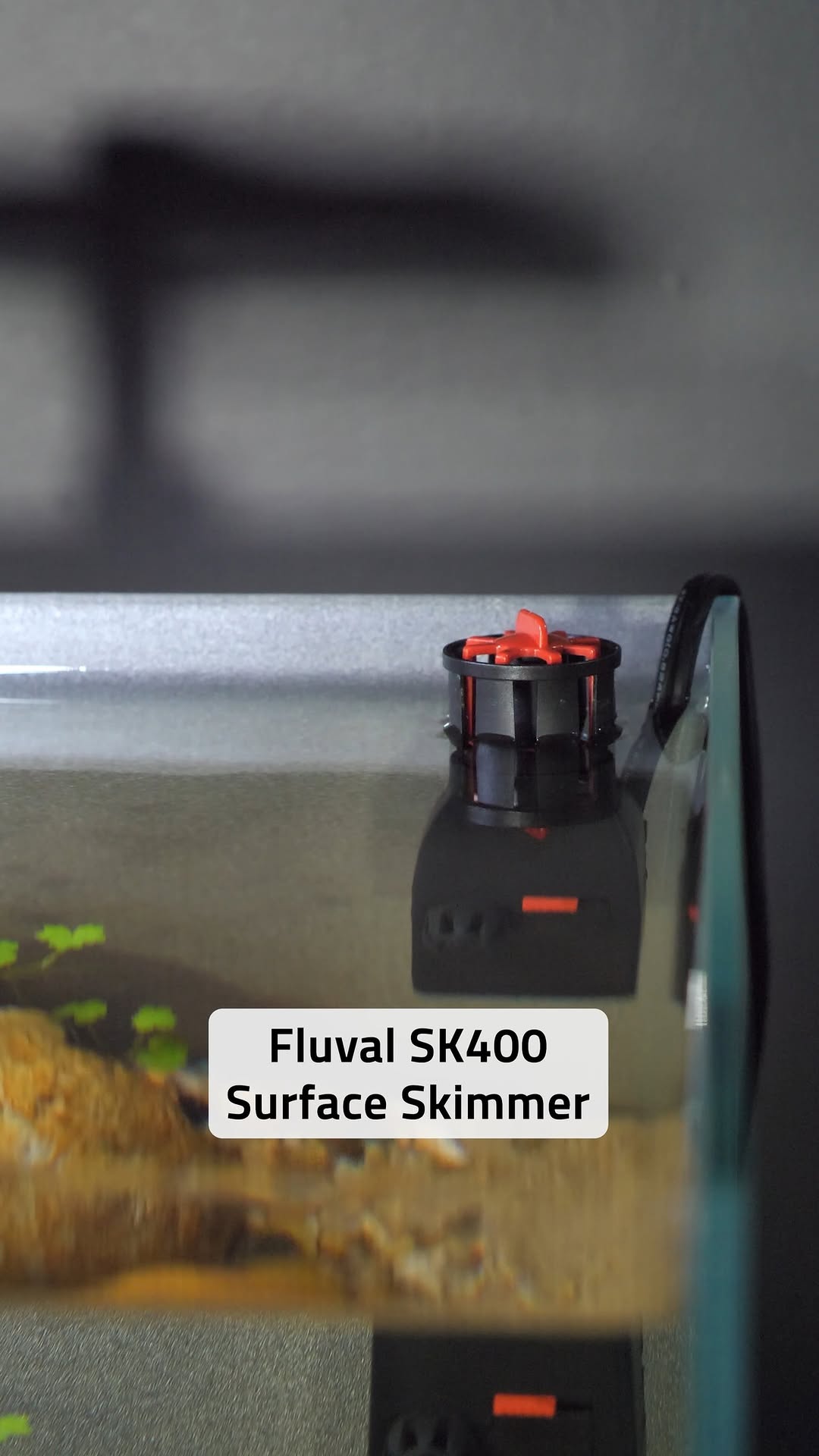 Fluval SK400: Oberflächenskimmer für bessere Belüftung und Lichtdurchdringung