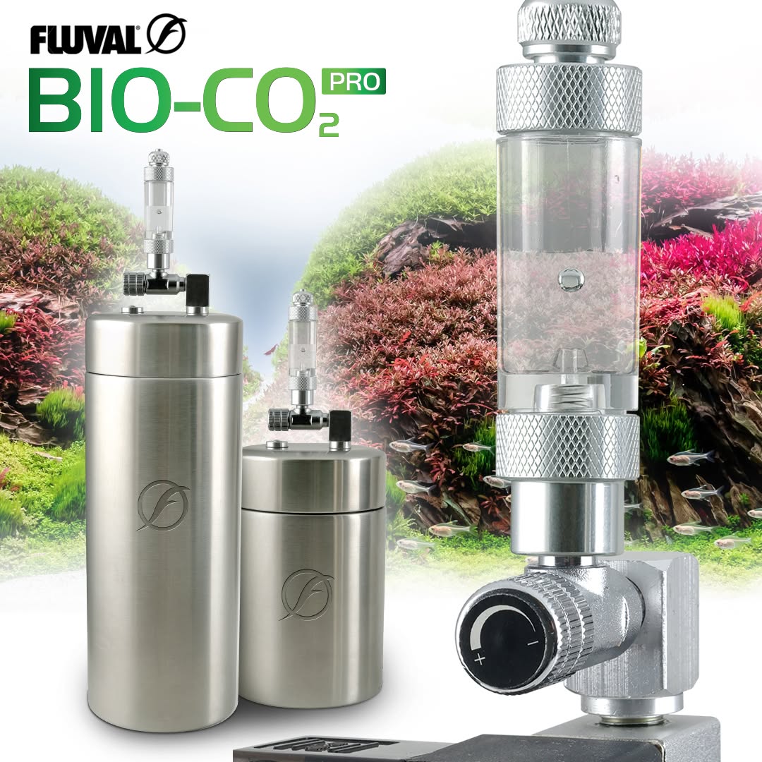 Fluval Bio-CO2 Pro: Biologische CO2-Anlage für Pflanzenbecken