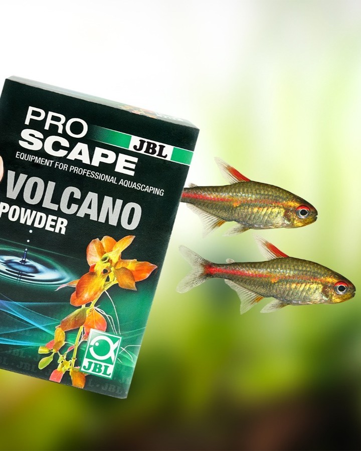 JBL ProScape Volcano Powder: Mineralischer Langzeit-Bodenzusatz