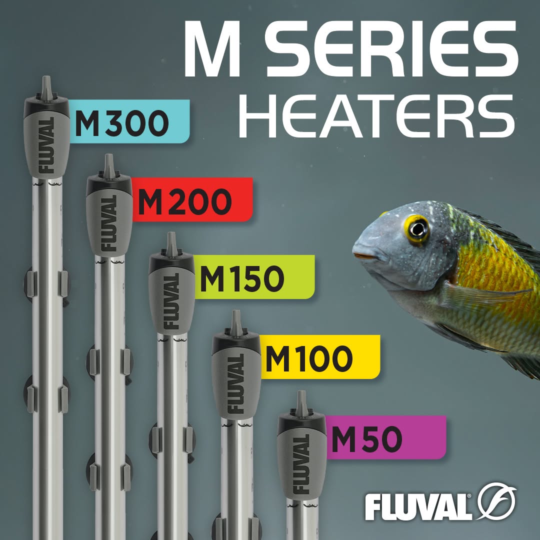 Fluval M Series: Aquariumheizer in fünf Größen bis 300 Liter